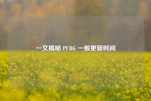 一文揭秘 PUBG 一般更新时间