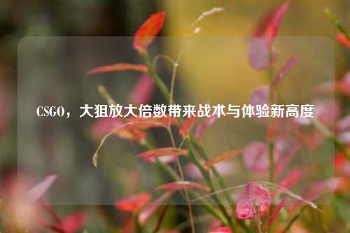CSGO,大狙放大倍数带来战术与体验新高度