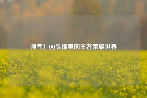 帅气!QQ头像里的王者荣耀世界