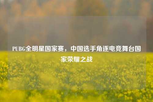PUBG全明星国家赛,中国选手角逐电竞舞台国家荣耀之战
