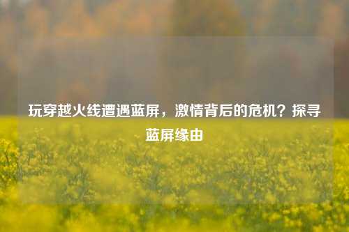玩穿越火线遭遇蓝屏,激情背后的危机?探寻蓝屏缘由