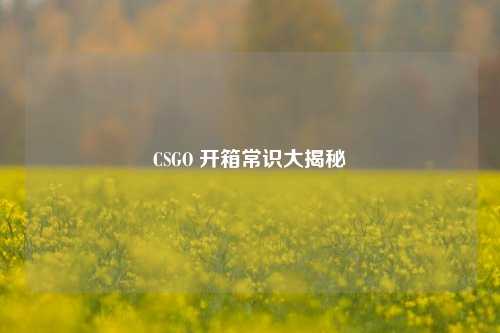 CSGO 开箱常识大揭秘
