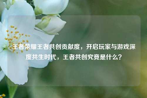 王者荣耀王者共创贡献度，开启玩家与游戏深度共生时代，王者共创究竟是什么？