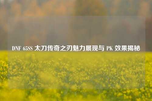 DNF 65SS 太刀传奇之刃魅力展现与 PK 效果揭秘