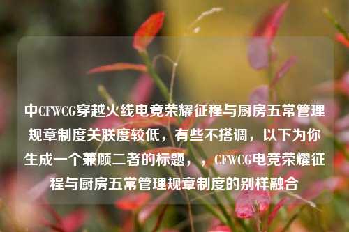 中CFWCG穿越火线电竞荣耀征程与厨房五常管理规章制度关联度较低，有些不搭调，以下为你生成一个兼顾二者的标题，，CFWCG电竞荣耀征程与厨房五常管理规章制度的别样融合
