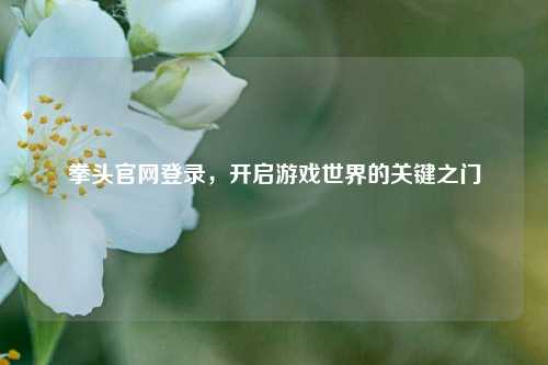 拳头官网登录,开启游戏世界的关键之门