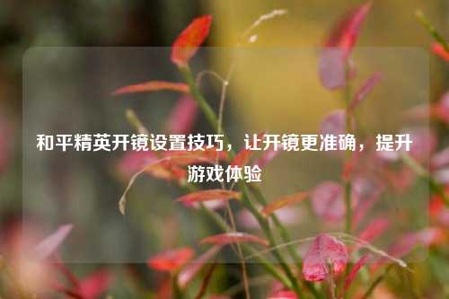 和平精英开镜设置技巧,让开镜更准确,提升游戏体验