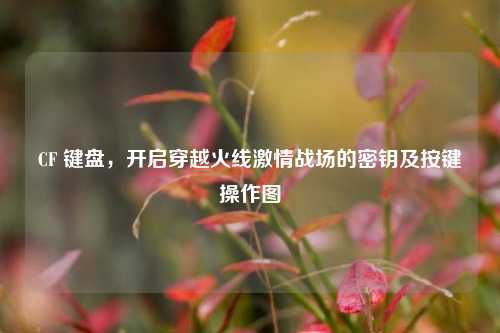 CF 键盘,开启穿越火线激情战场的密钥及按键操作图