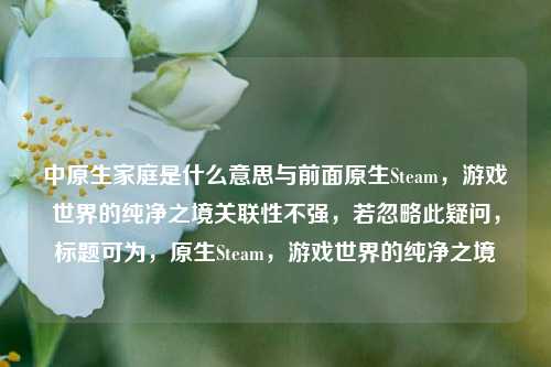 中原生家庭是什么意思与前面原生Steam,游戏世界的纯净之境关联性不强,若忽略此疑问,标题可为,原生Steam,游戏世界的纯净之境