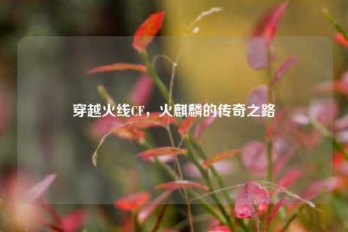 穿越火线CF,火麒麟的传奇之路