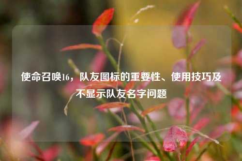 使命召唤16,队友图标的重要性、使用技巧及不显示队友名字问题