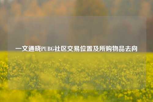 一文通晓PUBG社区交易位置及所购物品去向