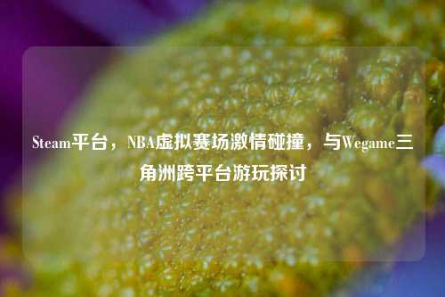 Steam平台,NBA虚拟赛场激情碰撞,与Wegame三角洲跨平台游玩探讨