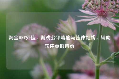 淘宝DNF外挂，游戏公平毒瘤与法律红线，辅助软件真假待辨