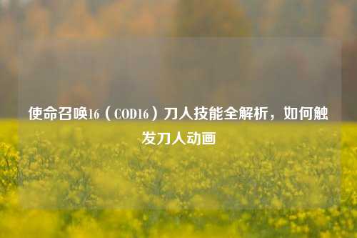 使命召唤16(COD16)刀人技能全解析,如何触发刀人动画