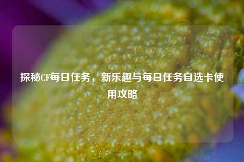 探秘CF每日任务，新乐趣与每日任务自选卡使用攻略