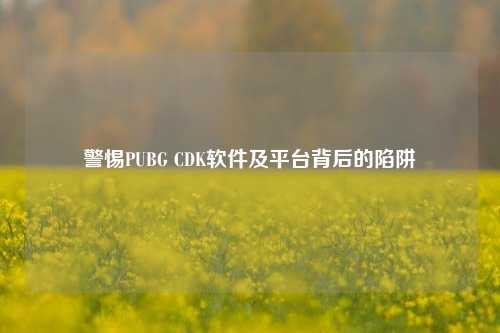警惕PUBG CDK软件及平台背后的陷阱