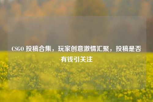 CSGO 投稿合集,玩家创意激情汇聚,投稿是否有钱引关注