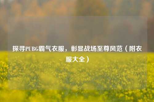 探寻PUBG霸气衣服,彰显战场至尊风范(附衣服大全)