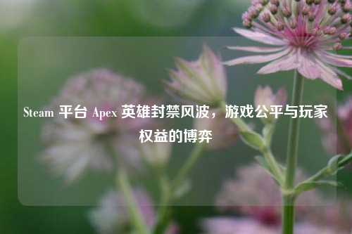 Steam 平台 Apex 英雄封禁风波,游戏公平与玩家权益的博弈