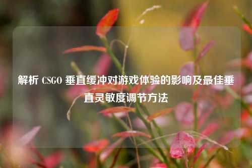 解析 CSGO 垂直缓冲对游戏体验的影响及最佳垂直灵敏度调节方法