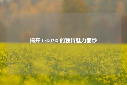 揭开 CSGO218 的独特魅力面纱