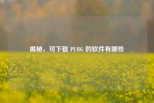 揭秘,可下载 PUBG 的软件有哪些