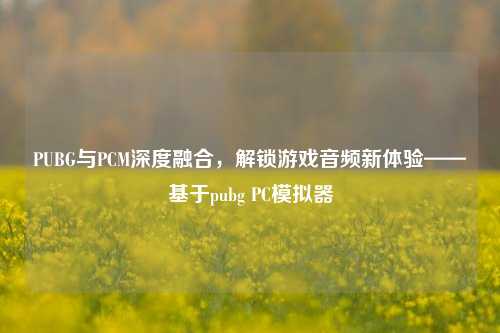 PUBG与PCM深度融合,解锁游戏音频新体验——基于pubg PC模拟器
