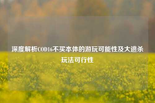 深度解析COD16不买本体的游玩可能性及大逃杀玩法可行性