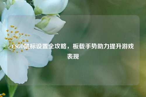 CSGO鼠标设置全攻略,板载手势助力提升游戏表现