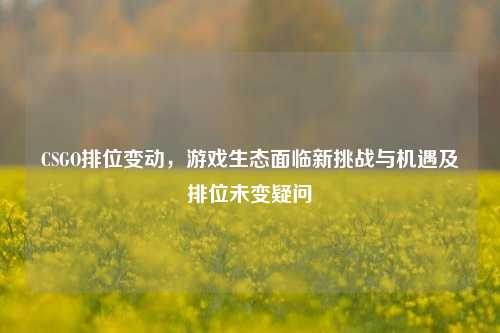 CSGO排位变动，游戏生态面临新挑战与机遇及排位未变疑问