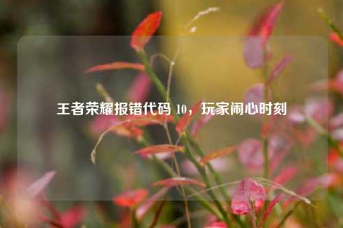 王者荣耀报错代码 10,玩家闹心时刻