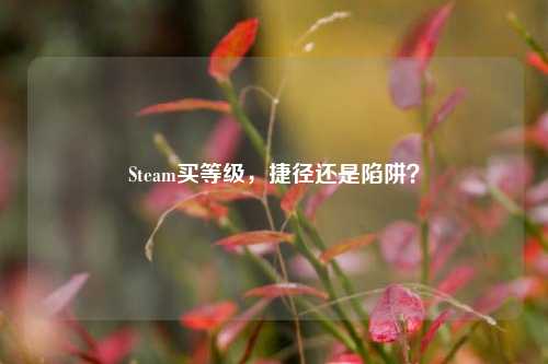 Steam买等级,捷径还是陷阱?