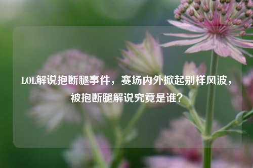LOL解说抱断腿事件，赛场内外掀起别样风波，被抱断腿解说究竟是谁？