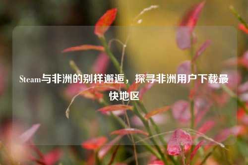 Steam与非洲的别样邂逅，探寻非洲用户下载最快地区