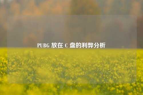 PUBG 放在 C 盘的利弊分析