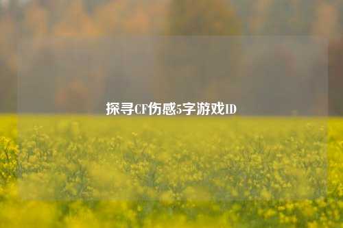 探寻CF伤感5字游戏ID