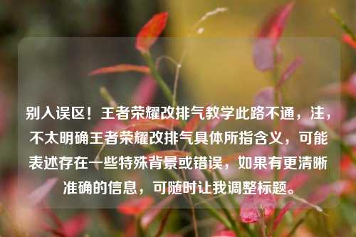 别入误区!王者荣耀改排气教学此路不通,注,不太明确王者荣耀改排气具体所指含义,可能表述存在一些特殊背景或错误,如果有更清晰准确的信息,可随时让我调整标题。