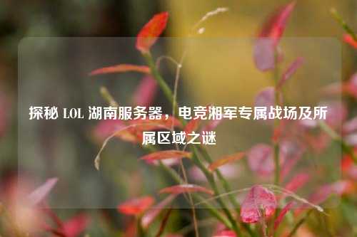 探秘 LOL 湖南服务器，电竞湘军专属战场及所属区域之谜