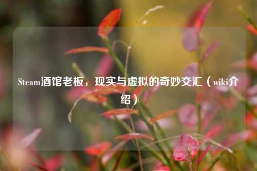 Steam酒馆老板，现实与虚拟的奇妙交汇（wiki介绍）