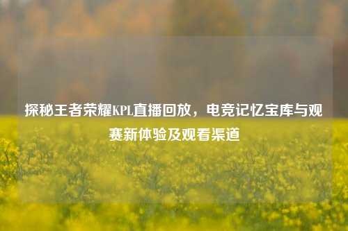 探秘王者荣耀KPL直播回放,电竞记忆宝库与观赛新体验及观看渠道