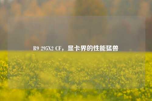R9 295X2 CF,显卡界的性能猛兽