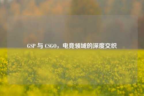 GSP 与 CSGO,电竞领域的深度交织
