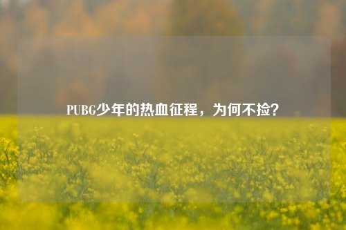 PUBG少年的热血征程,为何不捡?
