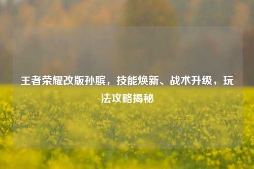 王者荣耀改版孙膑，技能焕新、战术升级，玩法攻略揭秘