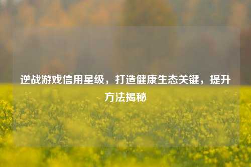 逆战游戏信用星级,打造健康生态关键,提升方法揭秘
