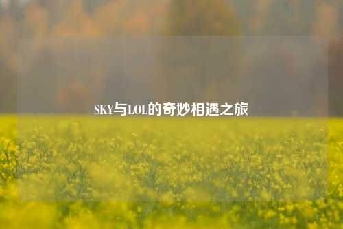 SKY与LOL的奇妙相遇之旅