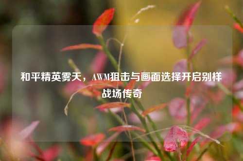 和平精英雾天，AWM狙击与画面选择开启别样战场传奇