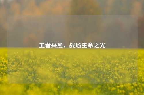 王者兴愈,战场生命之光