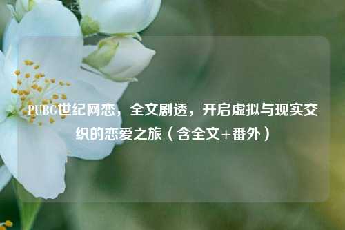 PUBG世纪网恋,全文剧透,开启虚拟与现实交织的恋爱之旅(含全文+番外)